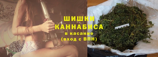спиды Заводоуковск